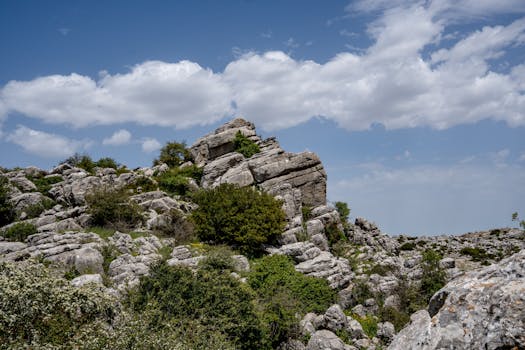 Top 9 Dětských Turistických Tras v Moravském Krasu